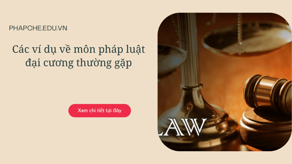 Các ví dụ về môn pháp luật đại cương thường gặp