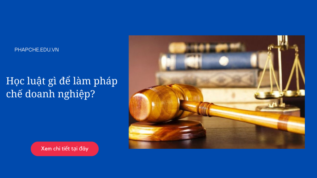 Học luật gì để làm pháp chế doanh nghiệp?