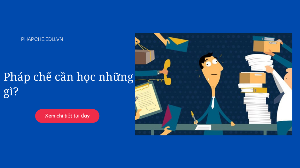 Pháp chế cần học những gì?