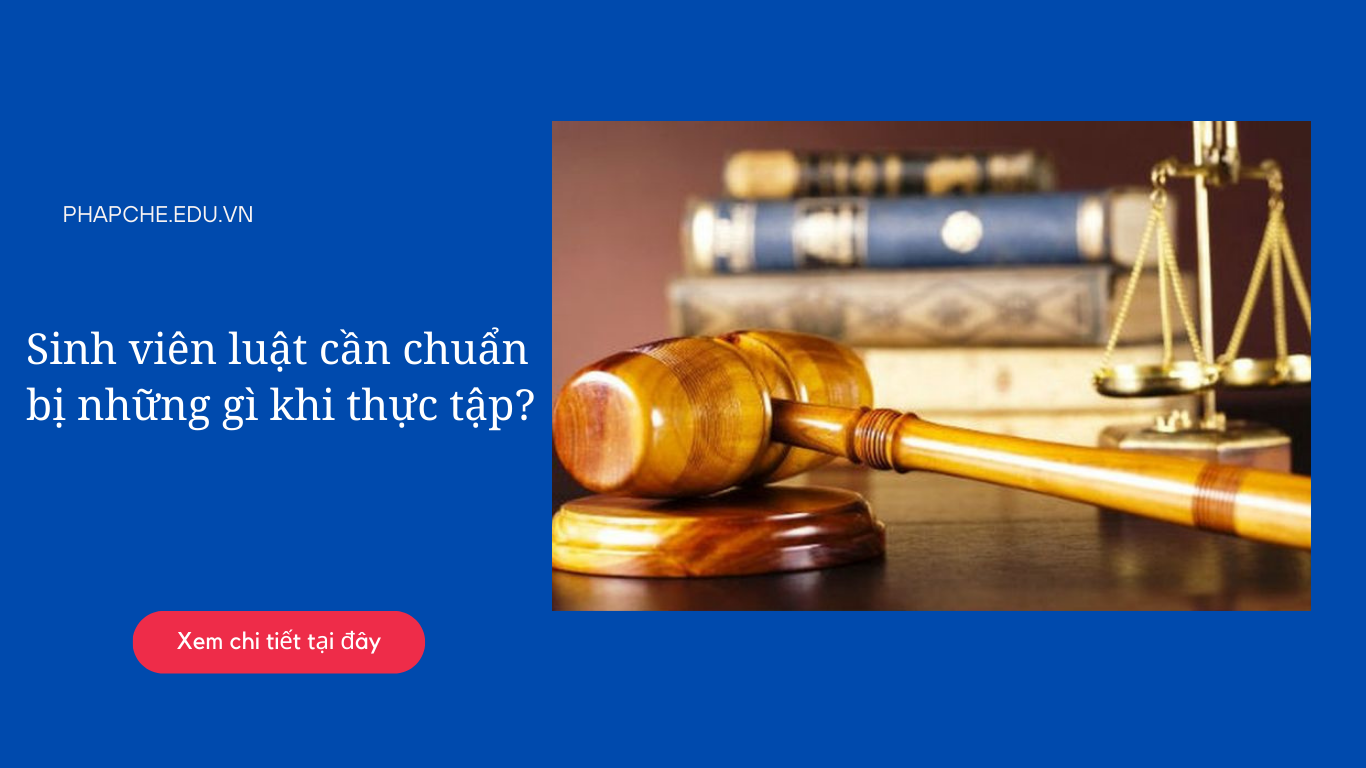 Sinh viên luật cần chuẩn bị những gì khi thực tập?