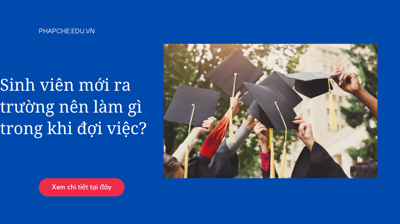 Sinh viên mới ra trường nên làm gì trong khi đợi việc?