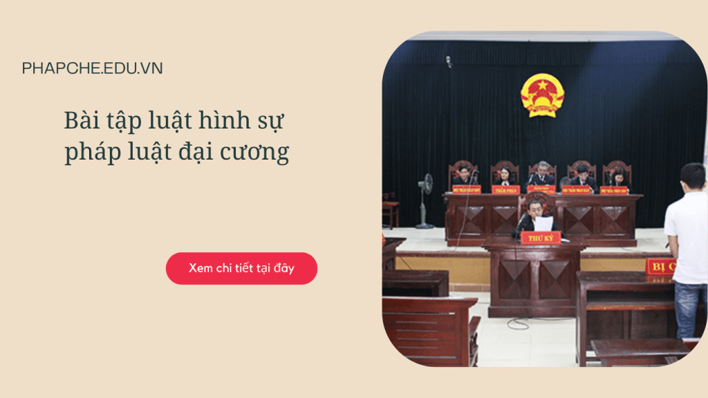 Bài tập luật hình sự pháp luật đại cương