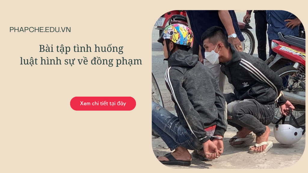 Bài tập tình huống luật hình sự về đồng phạm phổ biến và cách giải