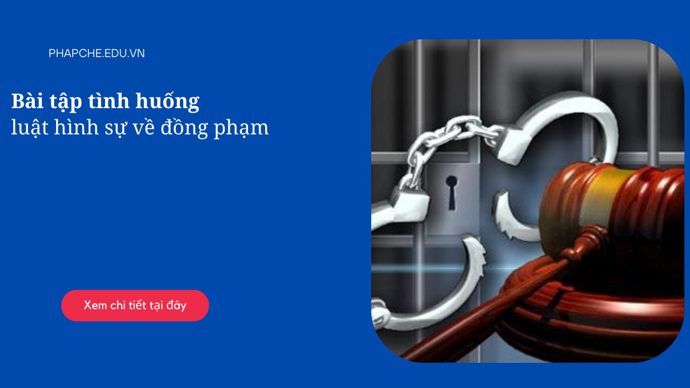 Bài tập tình huống luật hình sự về đồng phạm phổ biến và cách giải