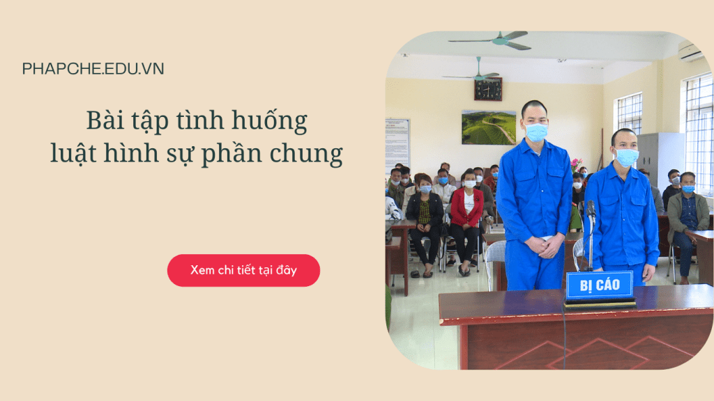 Bài tập tình huống luật hình sự phần chung