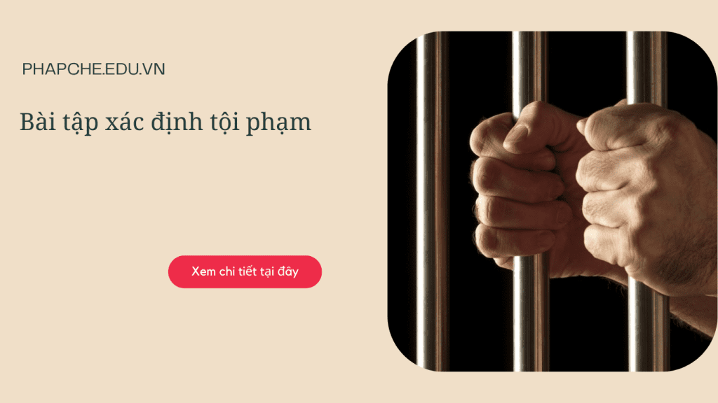 Bài tập tình huống xác định tội phạm