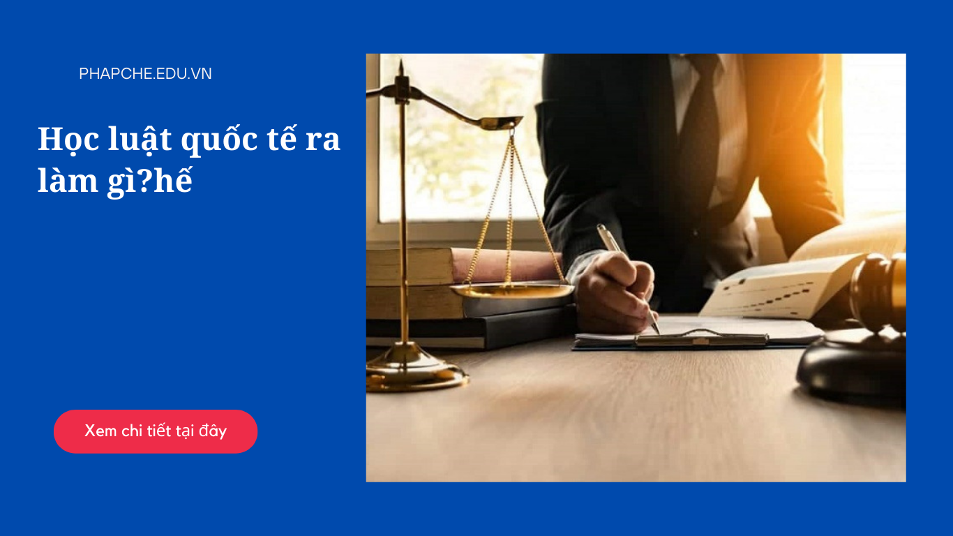 Học luật quốc tế ra làm gì?