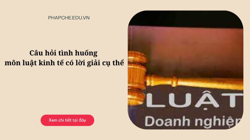 Câu hỏi tình huống luật kinh tế có lời giải cụ thể