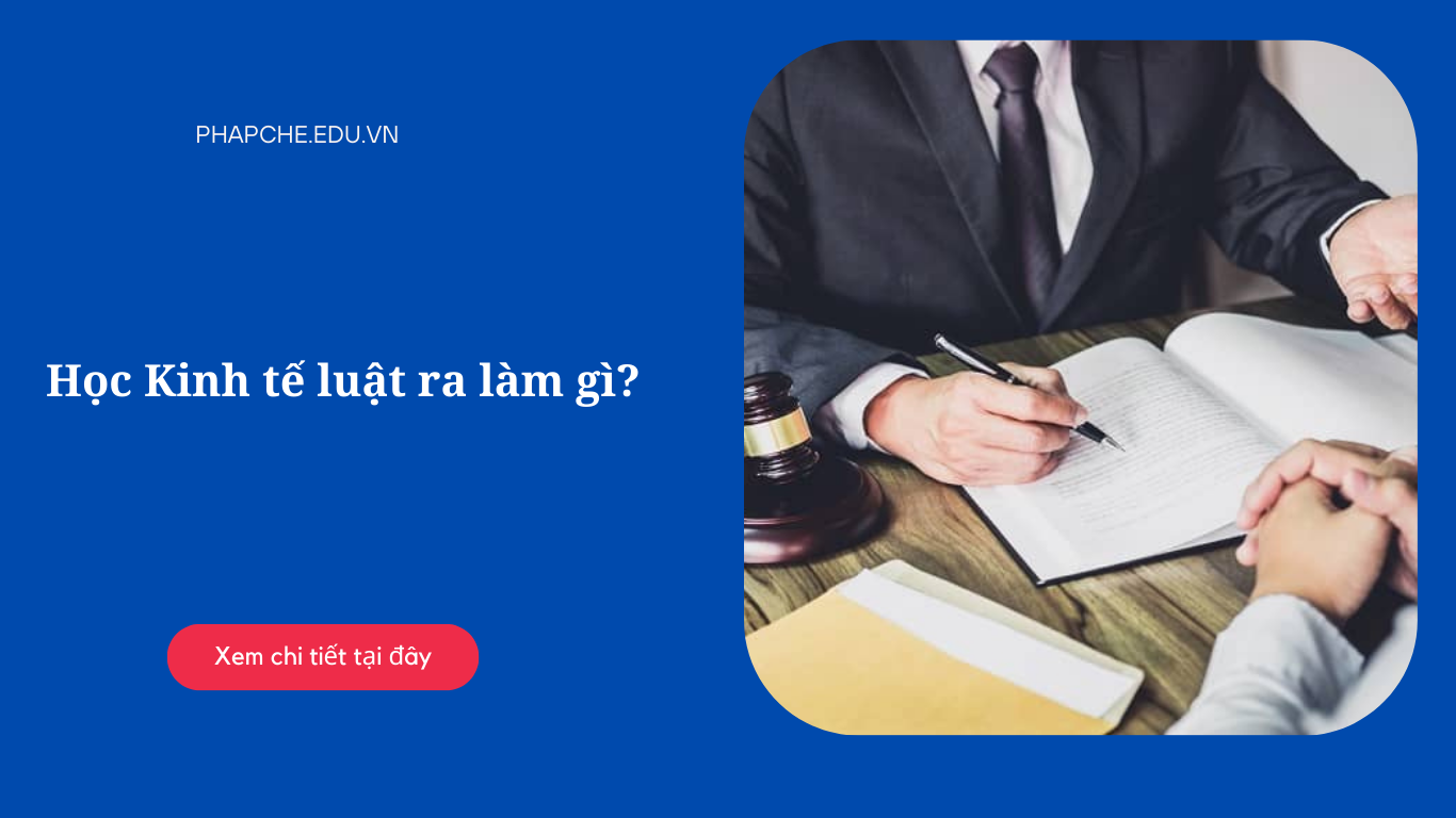 Học Kinh tế luật ra làm gì?