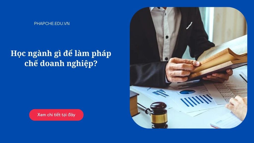 Học ngành gì để làm pháp chế doạnh nghiệp