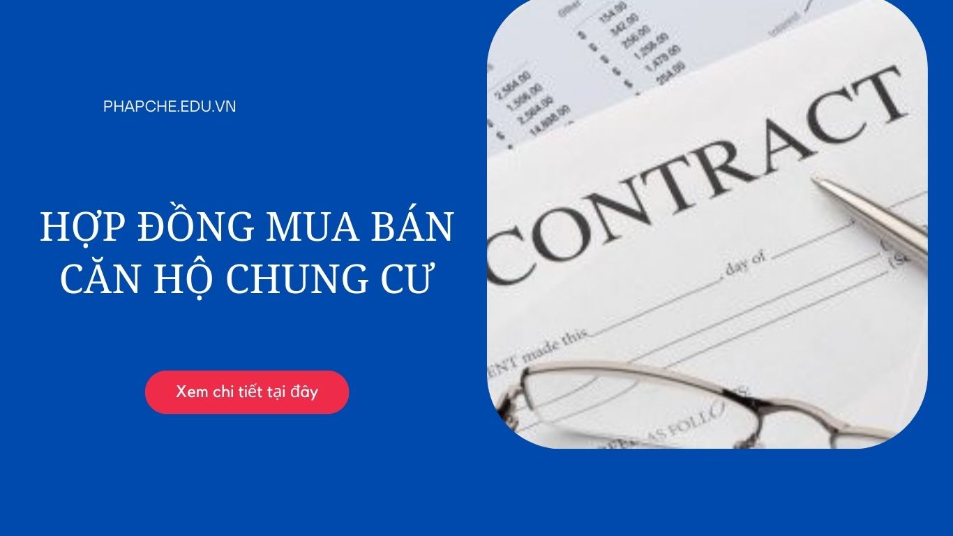 Hợp đồng mua bán căn hộ chung cư