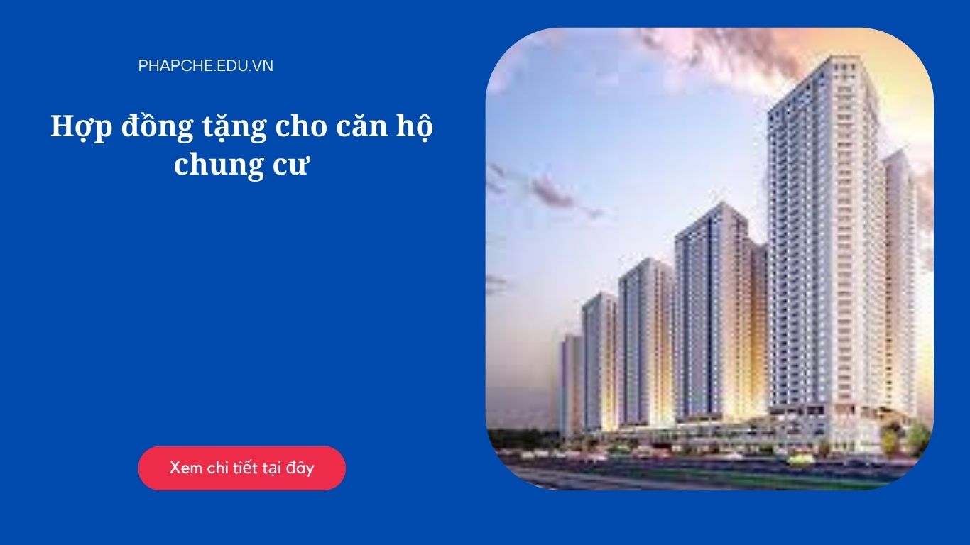 Hợp đồng tặng cho căn hộ chung cư