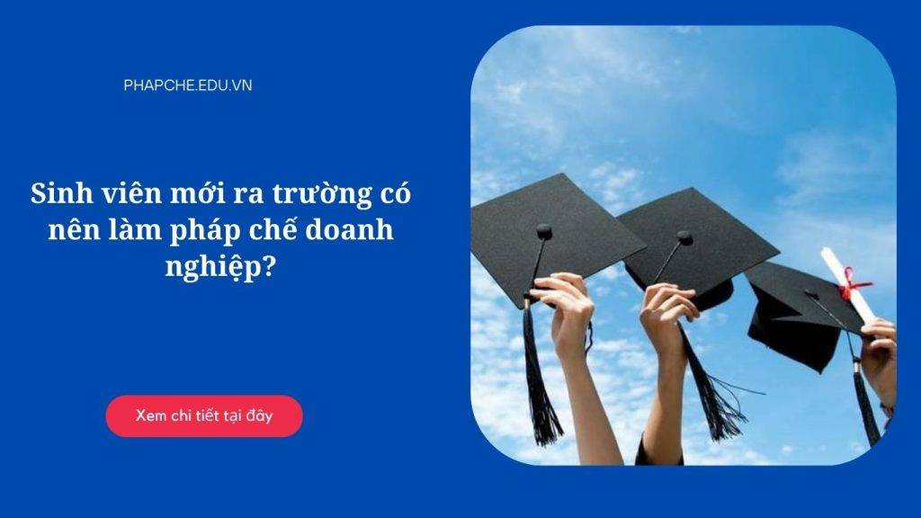 Sinh viên mới ra trường có nên làm pháp chế doanh nghiệp?