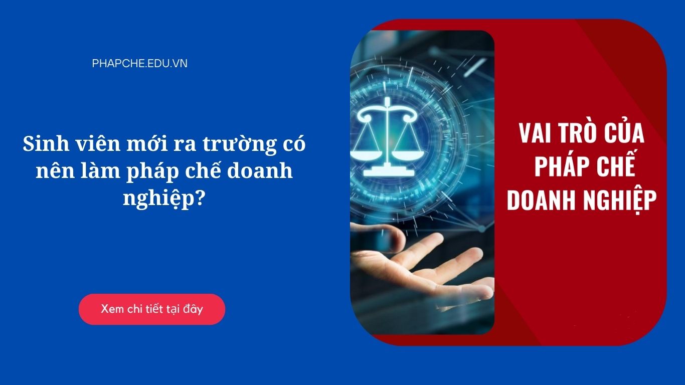 Sinh viên mới ra trường có nên làm pháp chế doanh nghiệp?