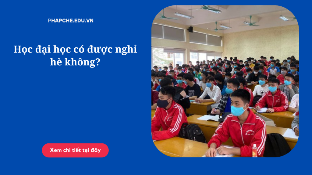 Học đại học có được nghỉ hè không?