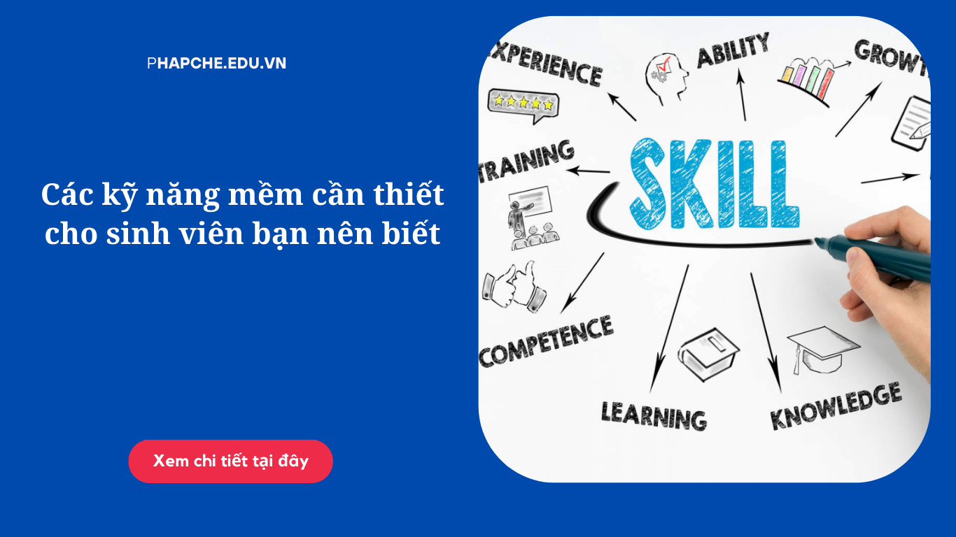 Các kỹ năng mềm cần thiết cho sinh viên bạn nên biết