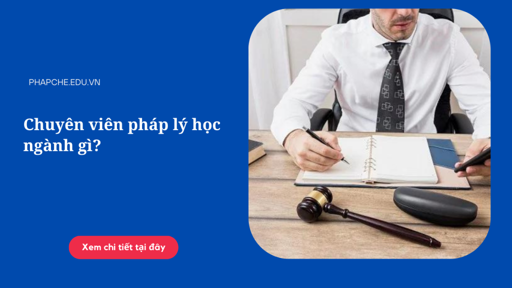 Chuyên viên pháp lý học ngành gì?