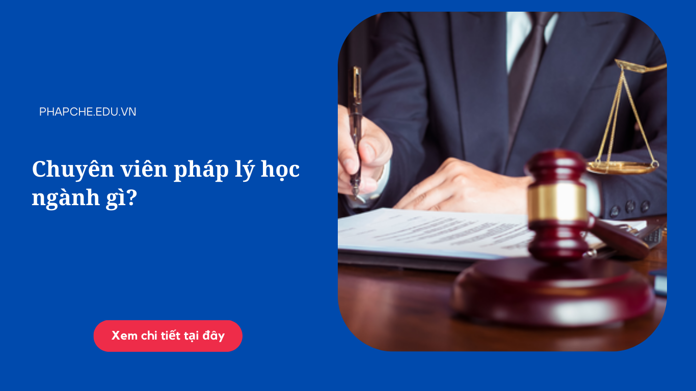 Chuyên viên pháp lý học ngành gì?
