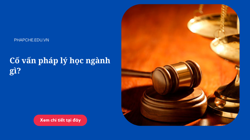 Cố vấn pháp lý học ngành gì?