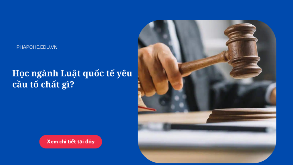 Học ngành Luật quốc tế yêu cầu tố chất gì?