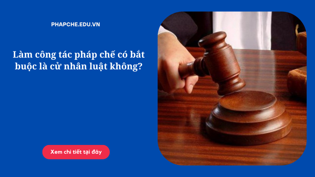 Làm công tác pháp chế có bắt buộc là cử nhân luật không?