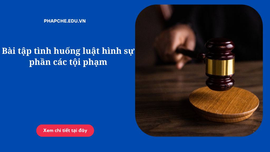 Bài tập tình huống luật hình sự phần các tội phạm