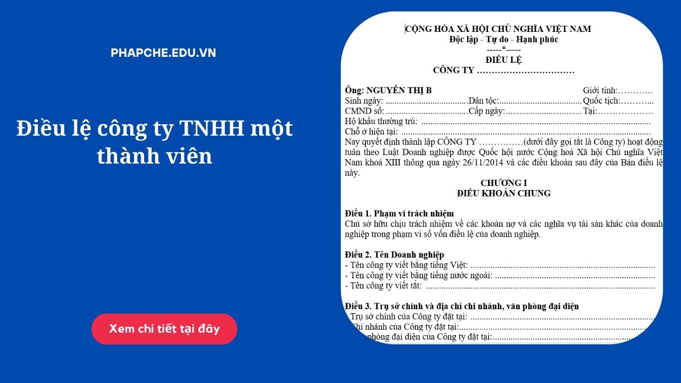 Điều lệ công ty TNHH một thành viên