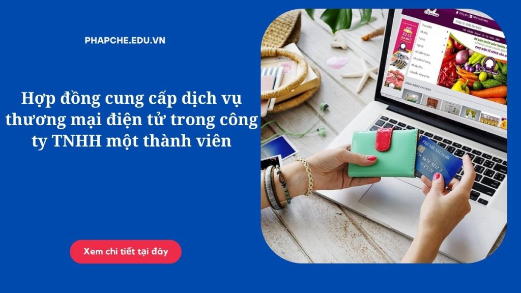 Hợp đồng cung cấp dịch vụ thương mại điện tử trong công ty TNHH một thành viên