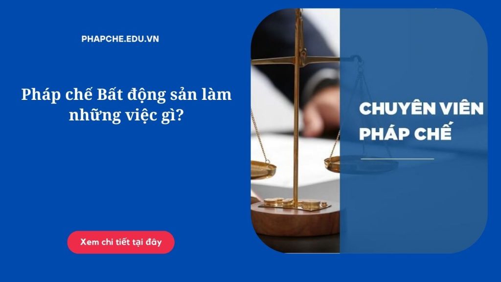 Pháp chế Bất động sản làm những việc gì?