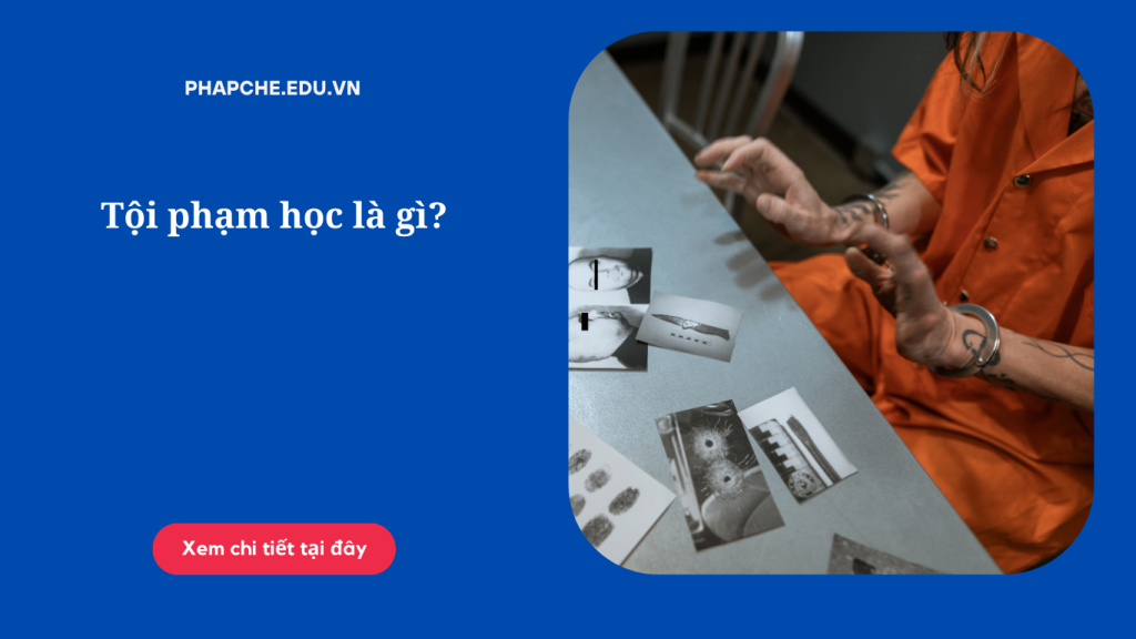 Tội phạm học là gì?