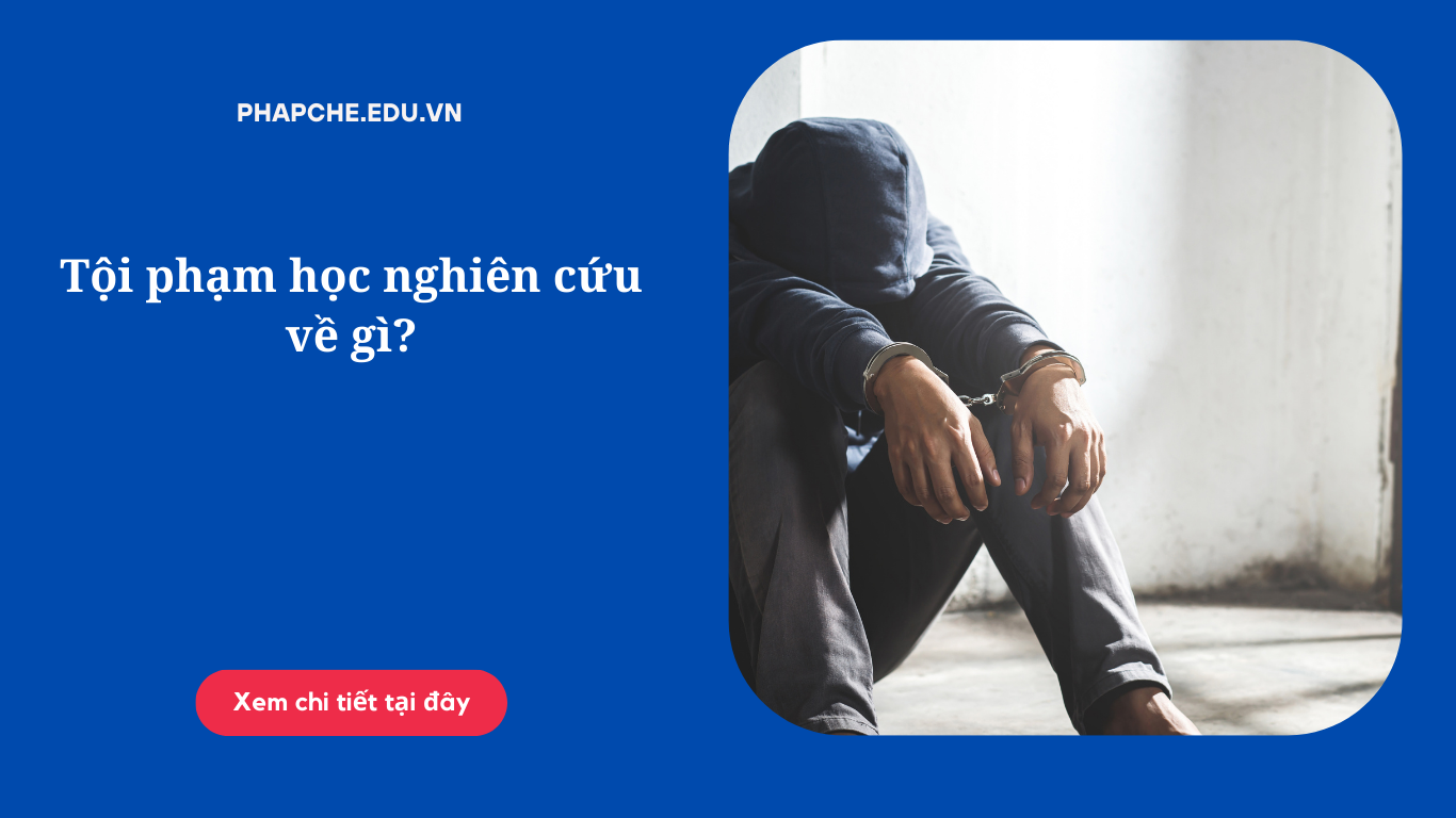 Tội phạm học nghiên cứu về gì?