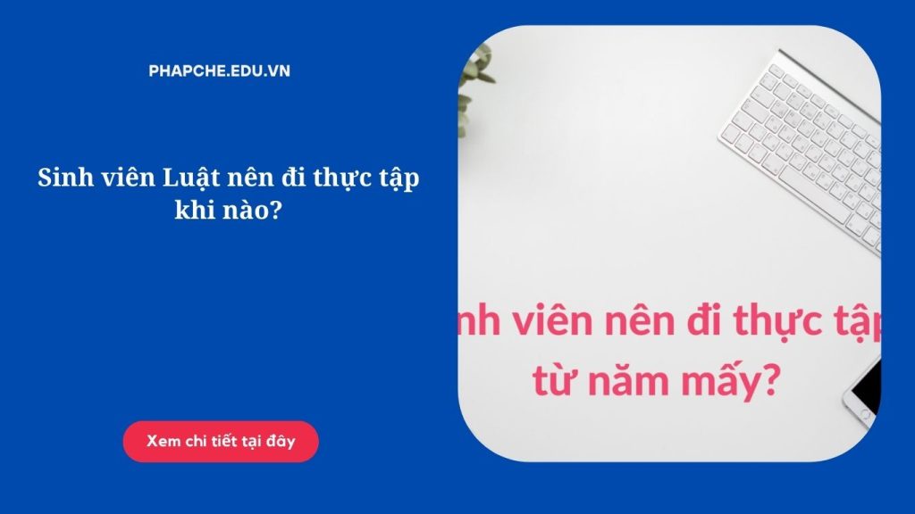 Sinh viên Luật nên đi thực tập khi nào?