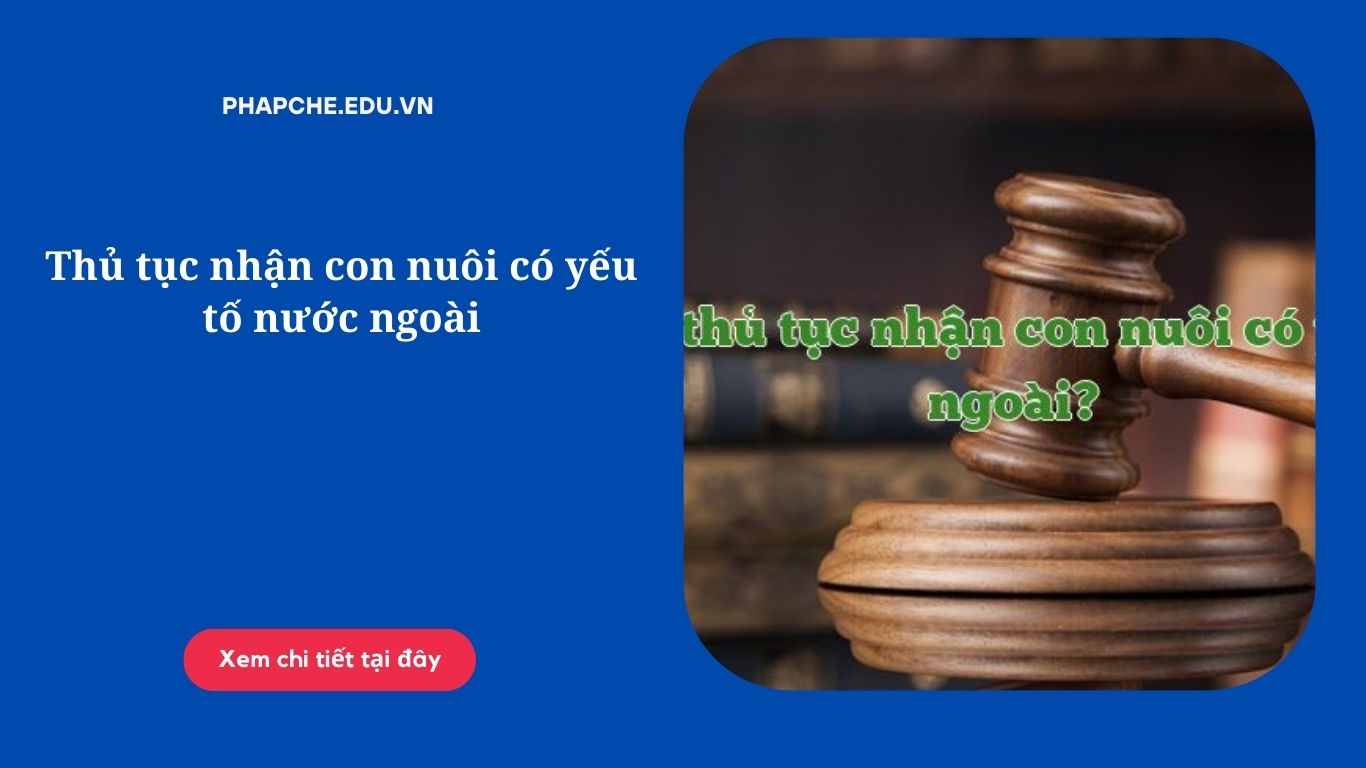 Thủ tục nhận con nuôi có yếu tố nước ngoài 2024