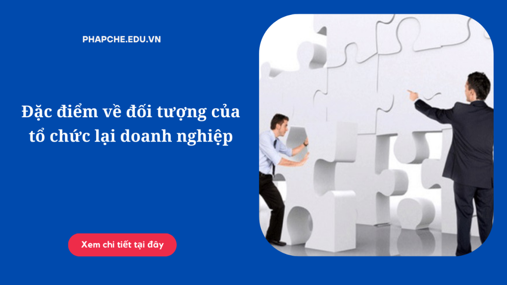 Đặc điểm về đối tượng của tổ chức lại doanh nghiệp