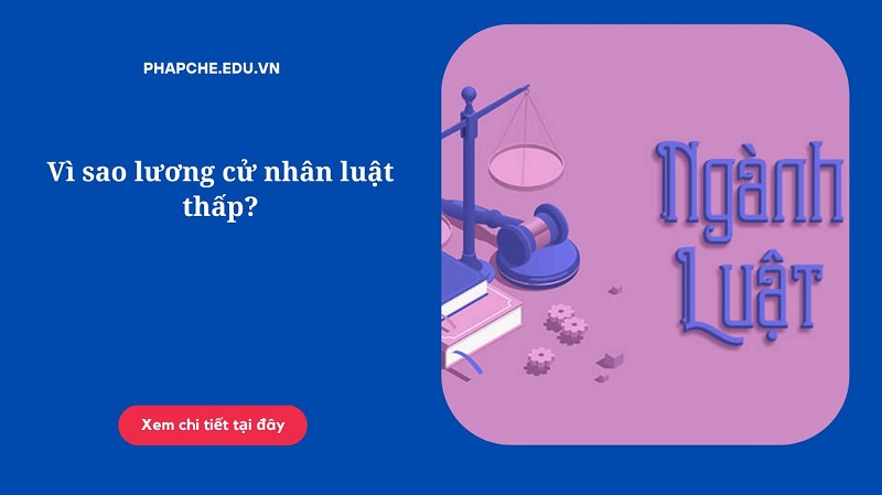 Vì sao lương cử nhân luật thấp?