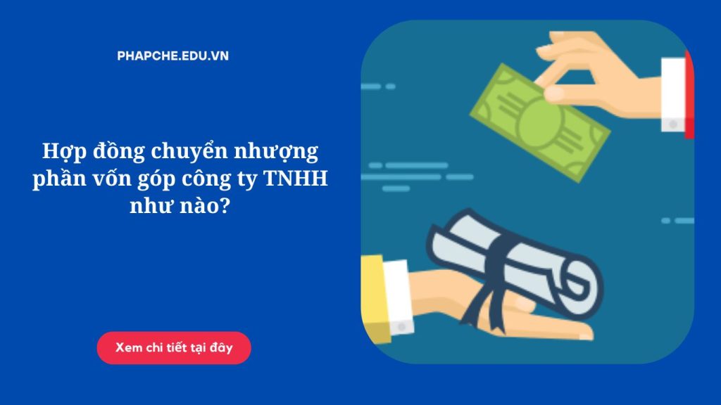 Hợp đồng chuyển nhượng phần vốn góp công ty TNHH như nào?