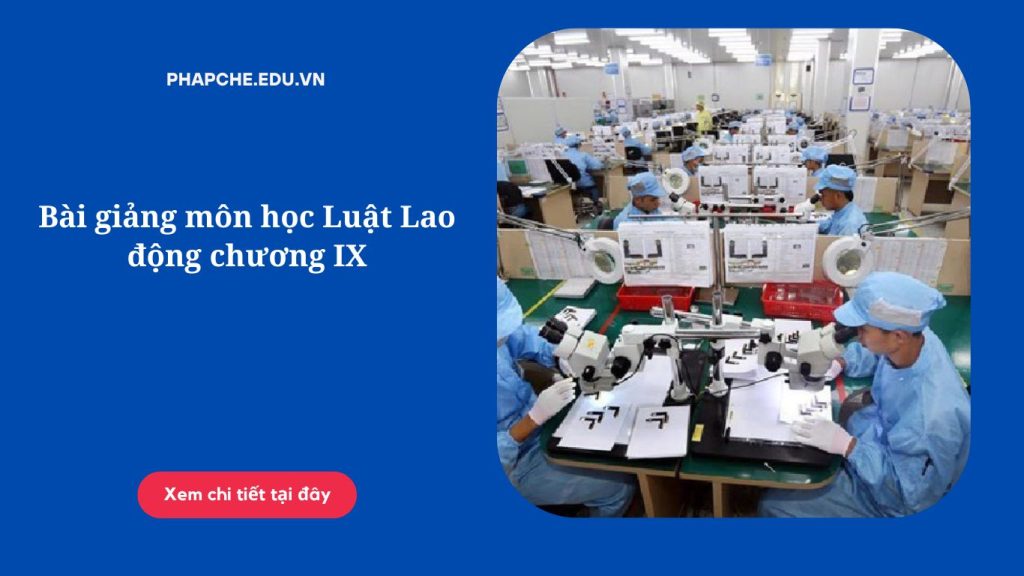 Bài giảng môn học Luật Lao động chương IX