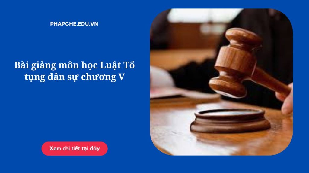 Bài giảng môn học Luật Tố tụng dân sự chương V'