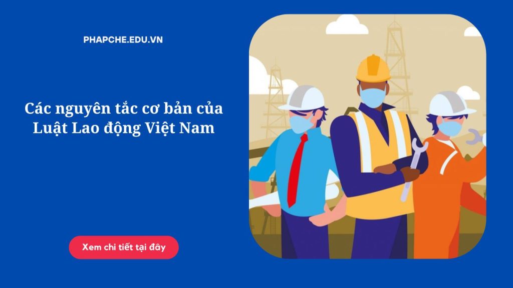 Các nguyên tắc cơ bản của Luật Lao động Việt Nam