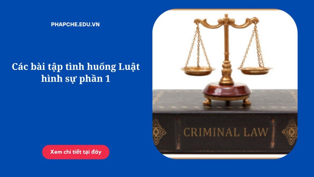 Các bài tập tình huống Luật hình sự phần 1