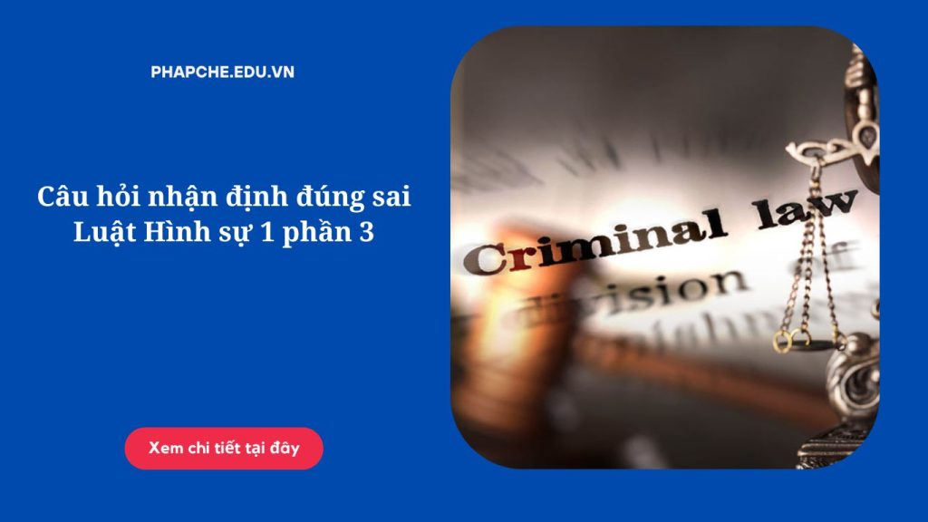 Câu hỏi nhận định đúng sai Luật Hình sự 1 phần 3
