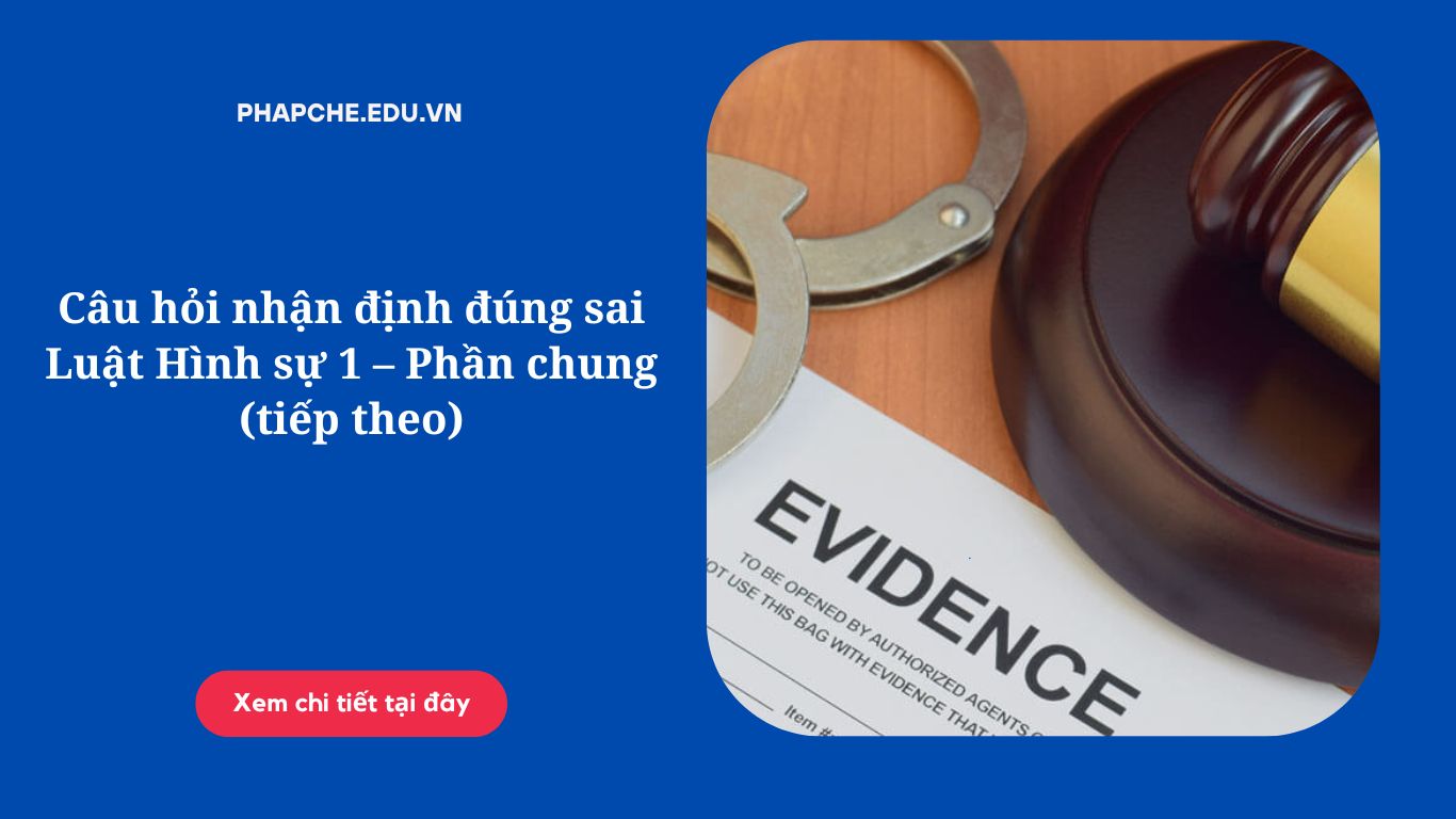 Câu hỏi nhận định đúng sai Luật Hình sự 1 – Phần chung (tiếp theo)
