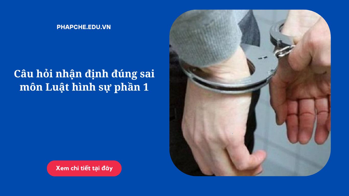 Câu hỏi nhận định đúng sai môn Luật hình sự phần 1