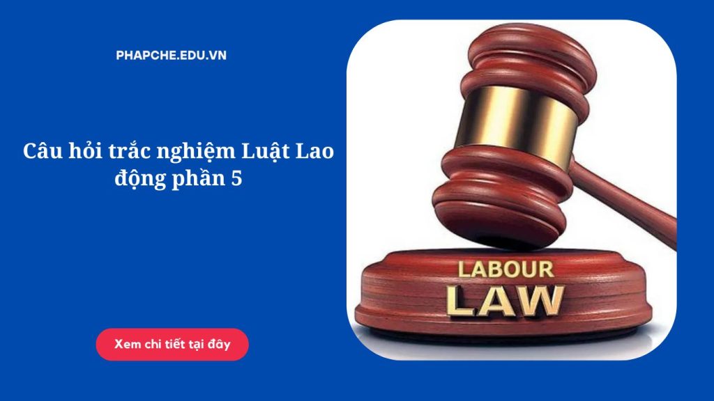 Câu hỏi trắc nghiệm Luật Lao động phần 5