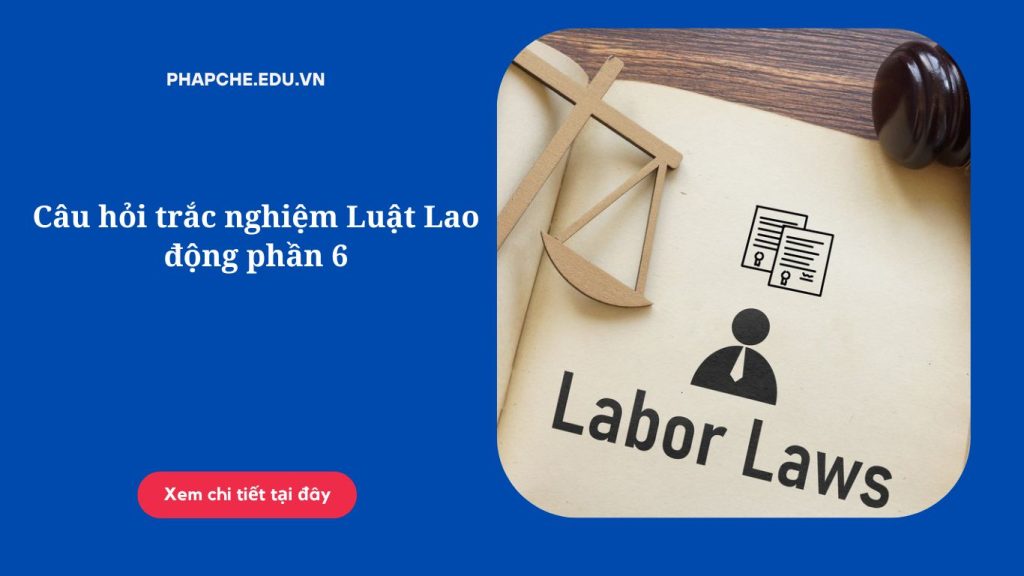 Câu hỏi trắc nghiệm Luật Lao động phần 6