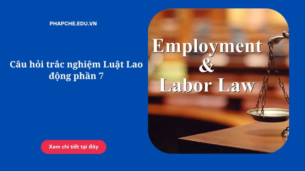 Câu hỏi trắc nghiệm Luật Lao động phần 7