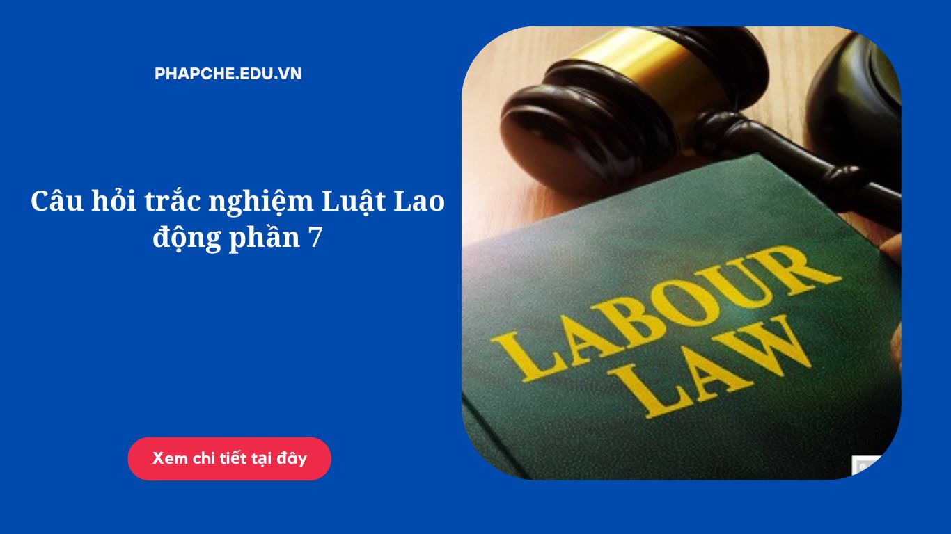 Câu hỏi trắc nghiệm Luật Lao động phần 7