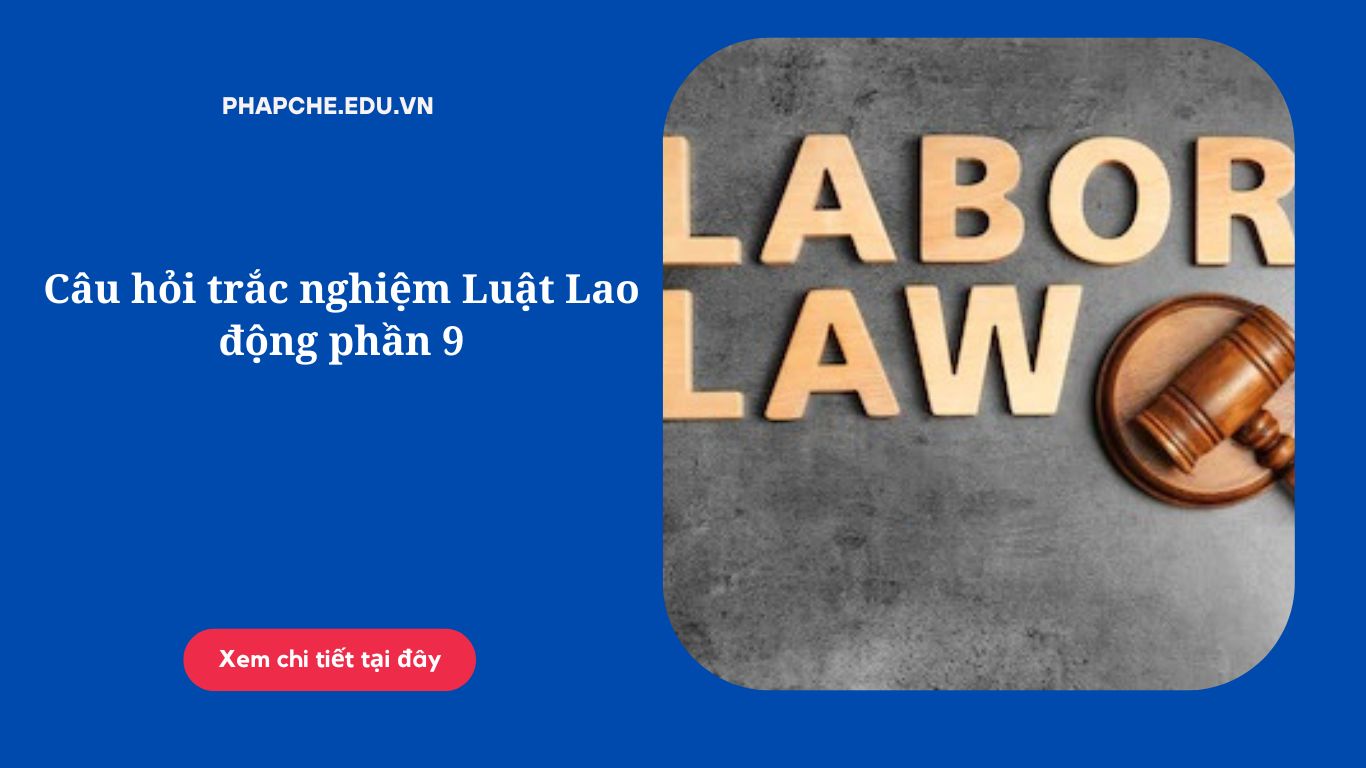 Câu hỏi trắc nghiệm Luật Lao động phần 9