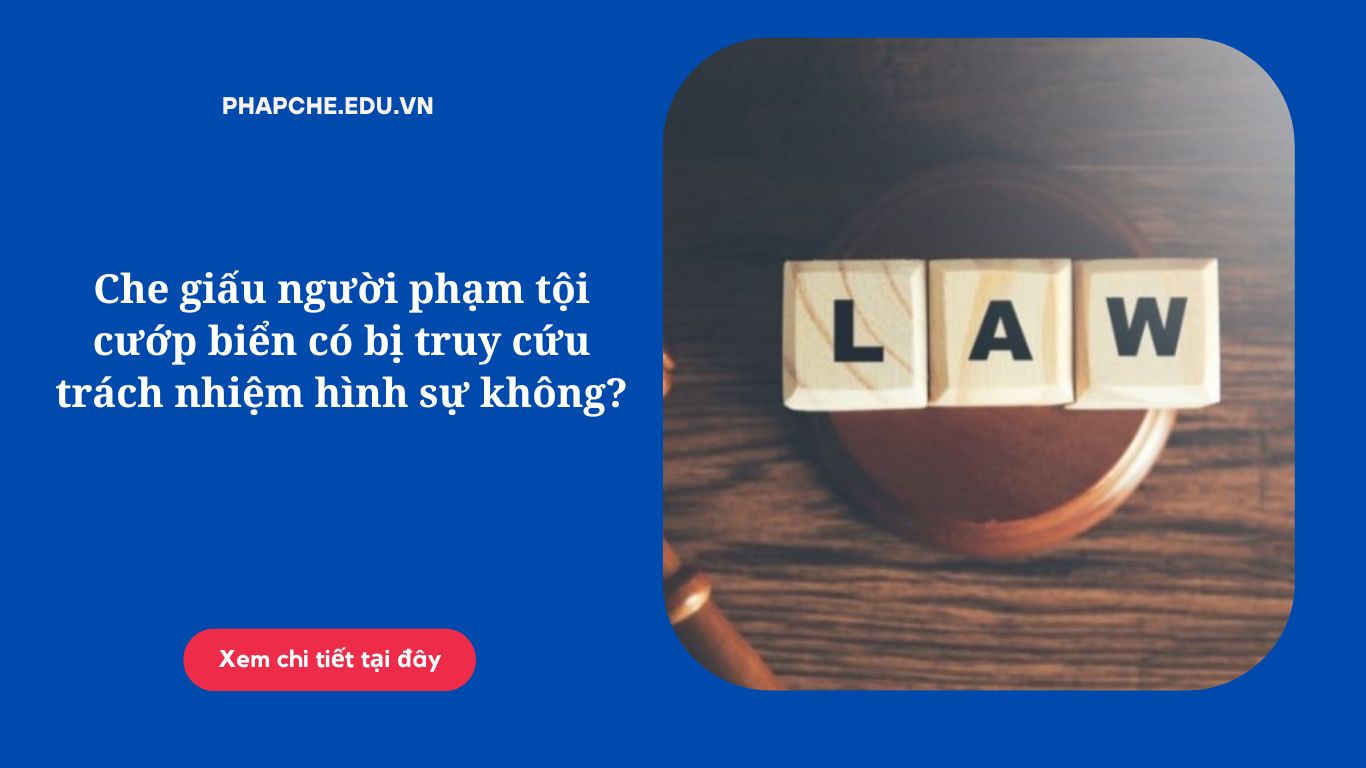 Tội cướp biển theo Điều 302 Bộ luật Hình sự là gì?