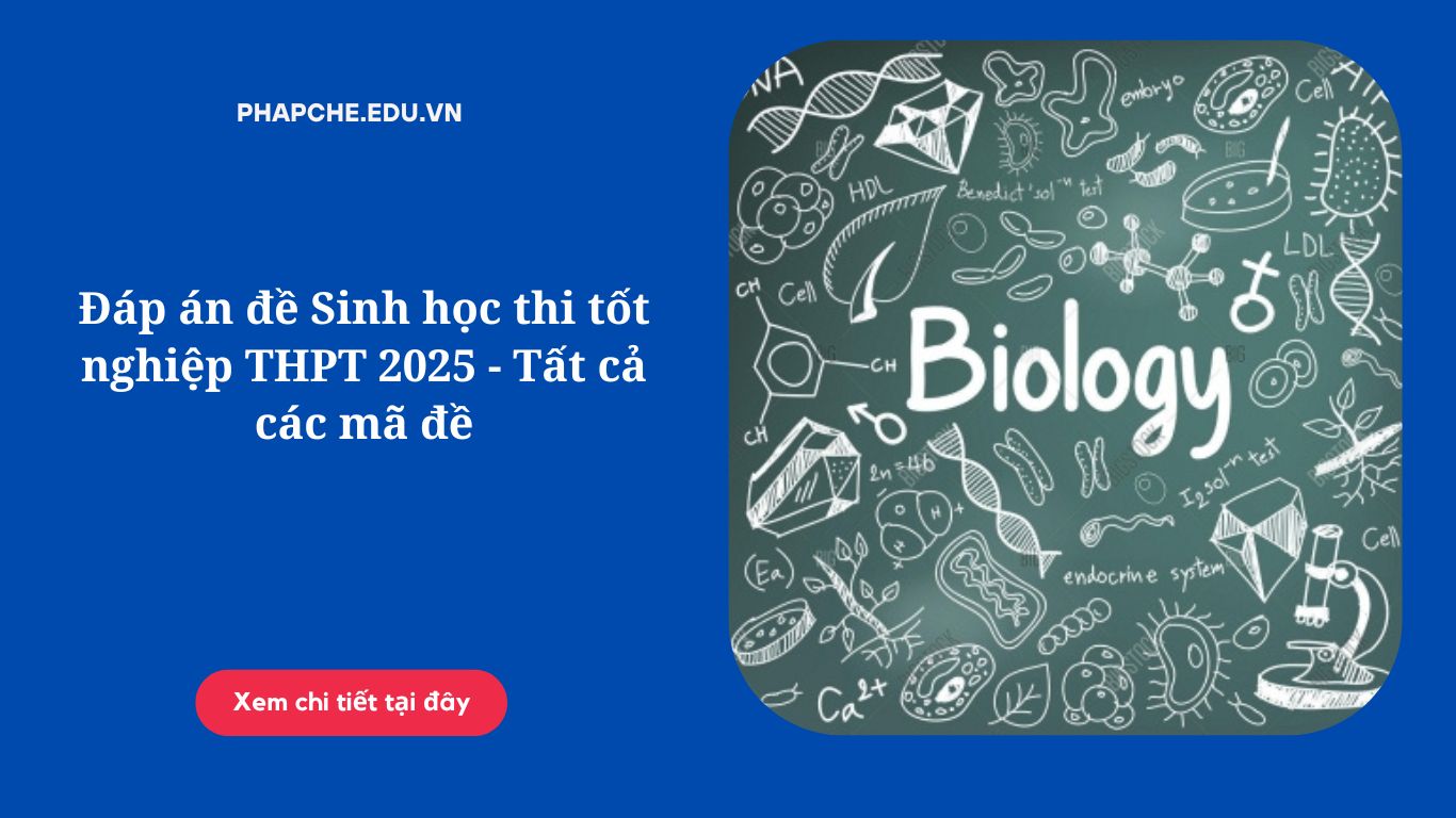 Đáp án đề Sinh học thi tốt nghiệp THPT 2025 – Tất cả các mã đề